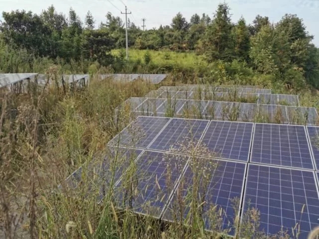 photovoltaic power station